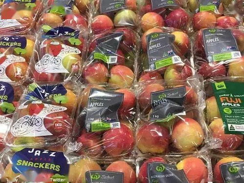 Aldi澳洲全面停售二手日用百貨，推動可持續發展與消費升級